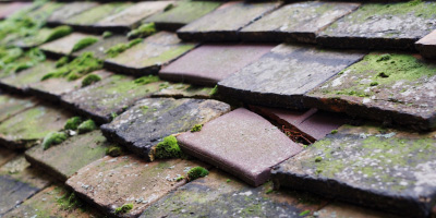 Battle roof repair costs